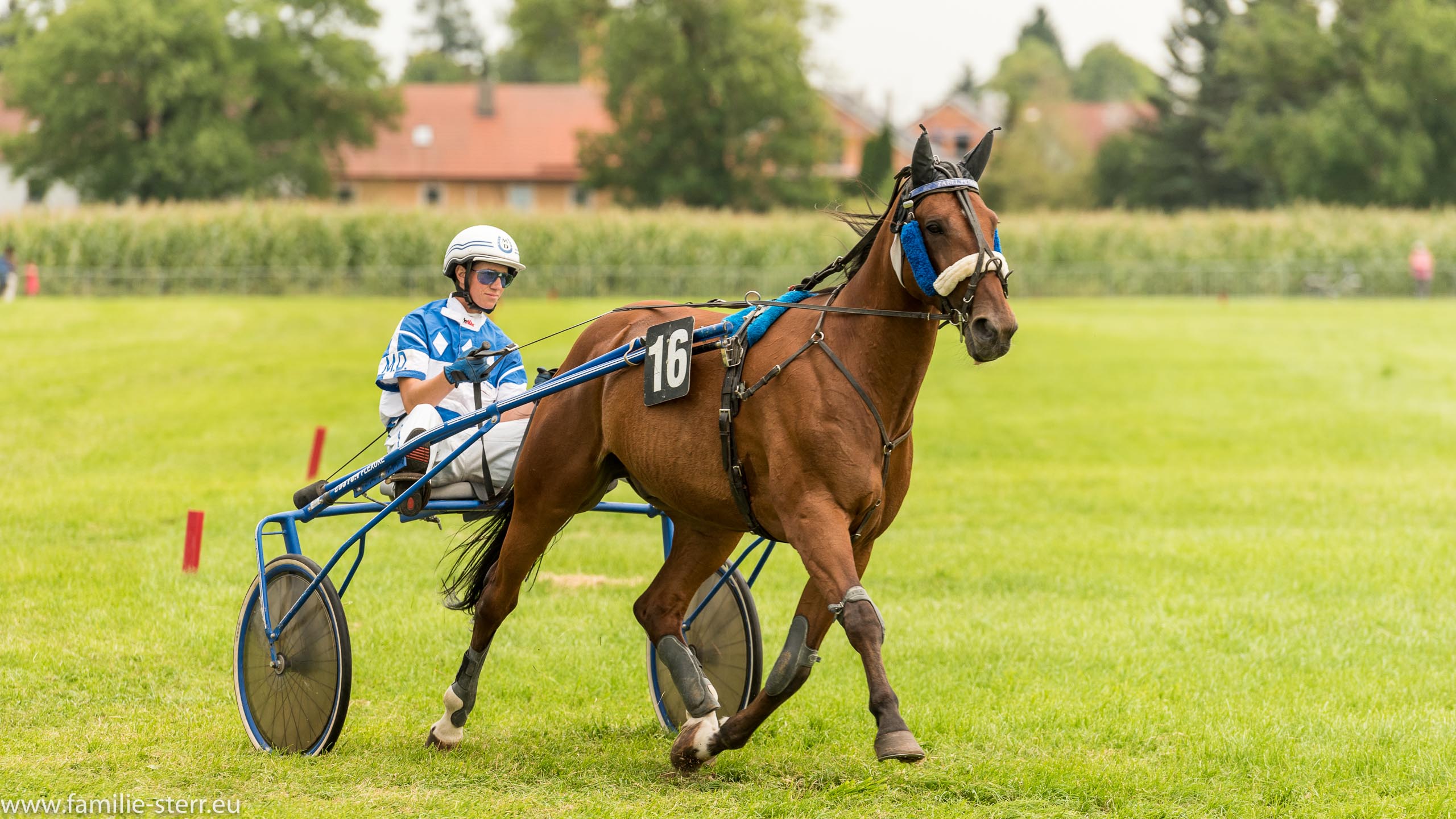 Trabrennen in Erding 2017